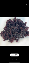 Load image into Gallery viewer, SEA MOSS BUSINESS STARTER KIT